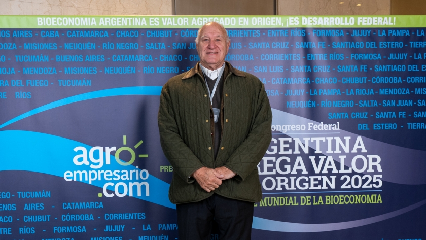 Víctor Tonelli  - Consultor