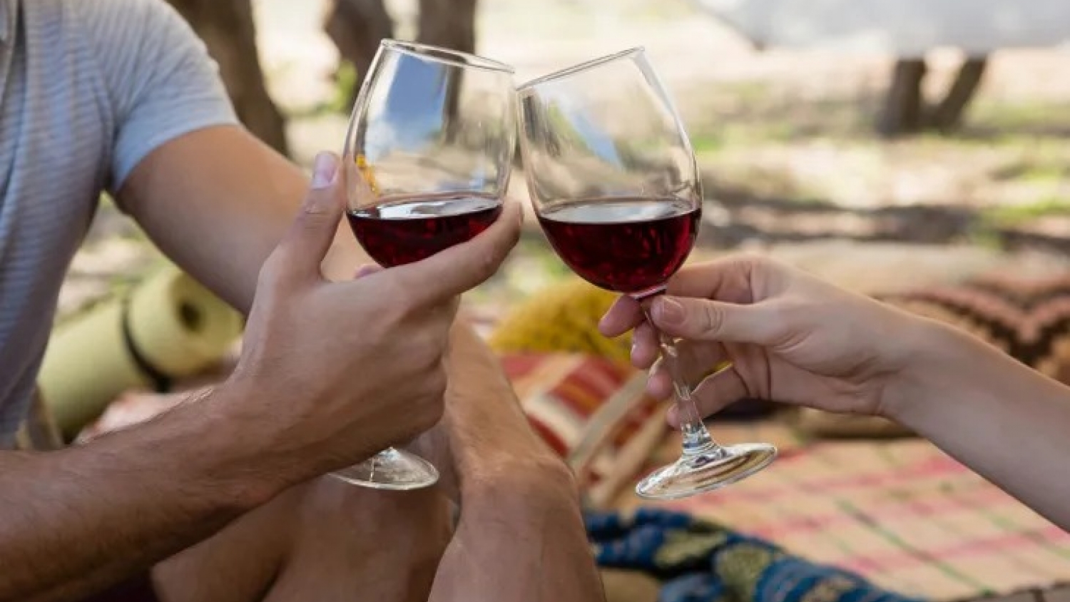 El vino organico se expande y proyecta duplicar su mercado global antes de 2033