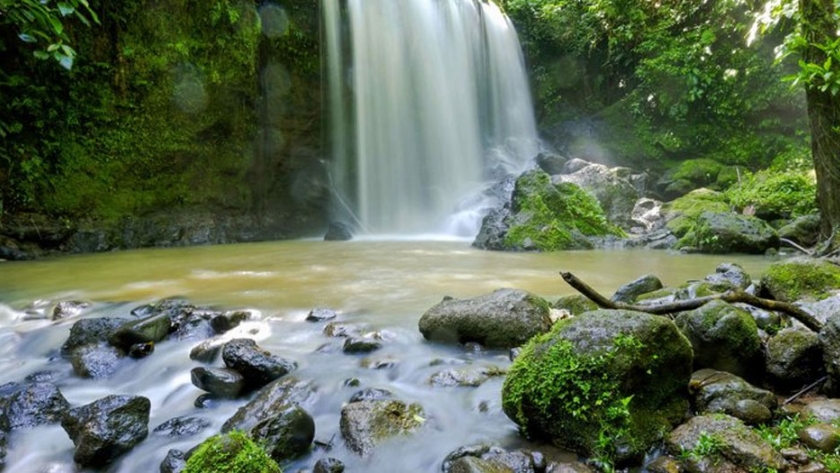 La infraestructura a gran escala "amenaza" los bosques tropicales en América Latina