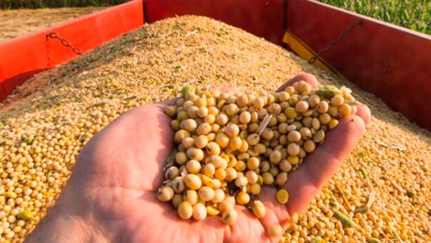 EE.UU. ya comprometió el 98% del saldo exportable de soja cuando faltan siete meses para el ingreso de la nueva cosecha