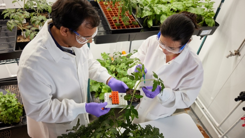 Terrana Biosciences Advances Crop Protection with RNA Technology to Tackle Climate Change