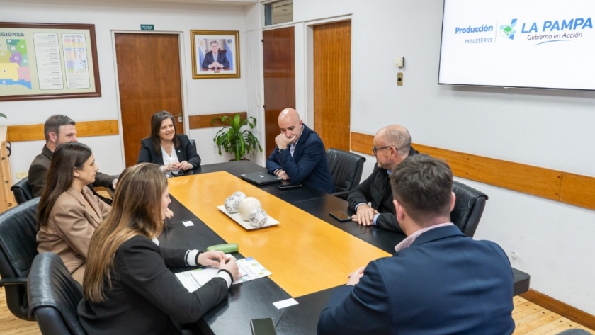 Genneia invertirá US$ 30 millones en La Pampa para instalar un sistema clave de almacenamiento de energía