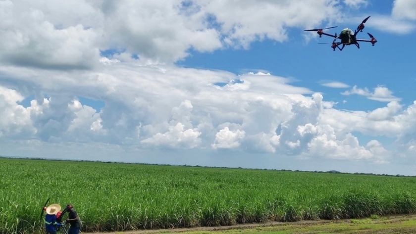 XAG sugiere que los drones podrían ser más inteligentes que los enjambres de langostas por la noche