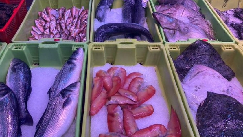 Para favorecer el consumo de pescados y mariscos, España elimina el IVA en productos de origen marino