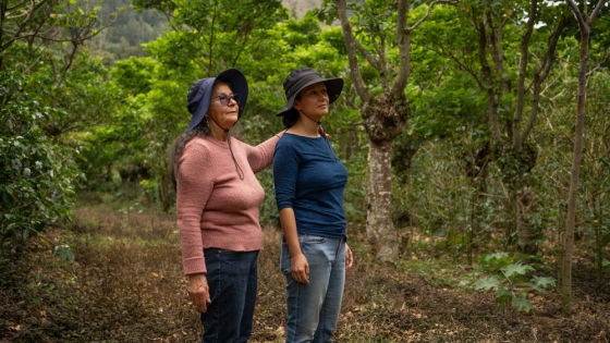 Tatiana Vargas, la mujer detrás de un café costarricense que conquista mercados globales