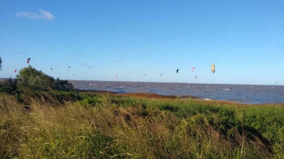 San Isidro avanza para proteger su ribera y preservar un paisaje natural único