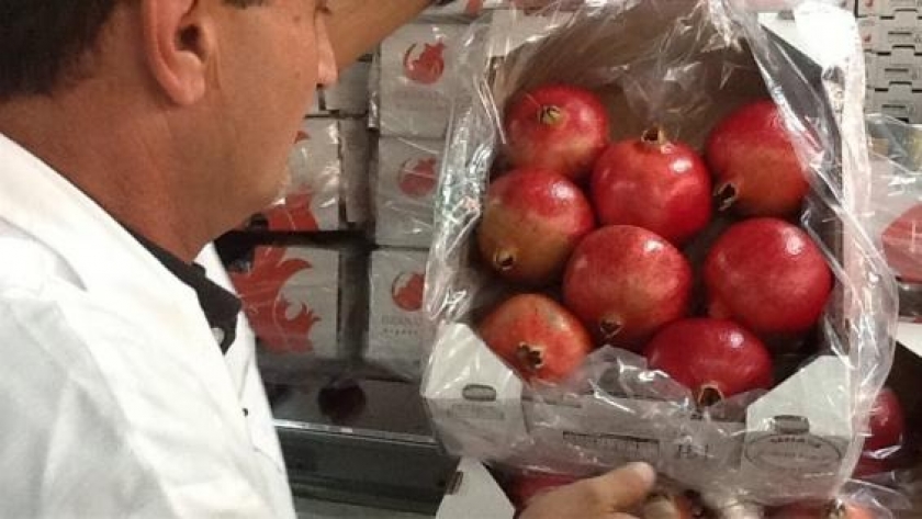 Competencia en la exportación de granadas: una PyME cordobesa frente a gigantes internacionales
