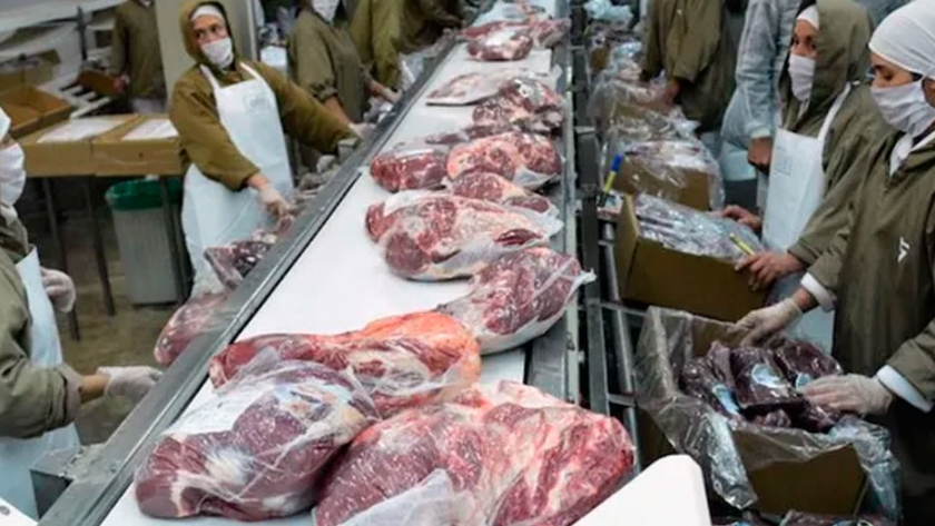 Por la fuerte tracción de China, Argentina aumentó casi un 300 % las exportaciones de carne en 10 años