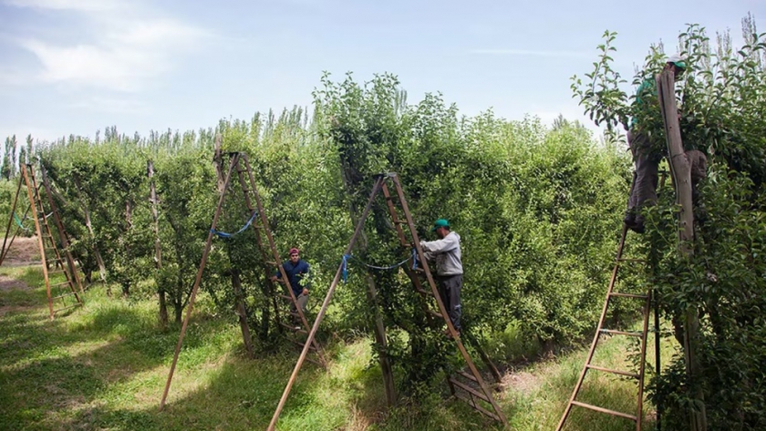 Aumentaron el valor del seguro por desempleo para trabajadores rurales