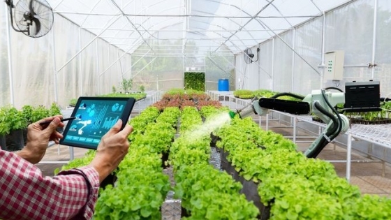 De Raíz: Sensores y otros chiches ponen la tecnología al servicio de la jardinería