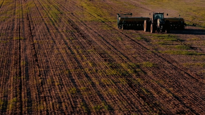 Cultivos de servicios, contra el deterioro de los campos