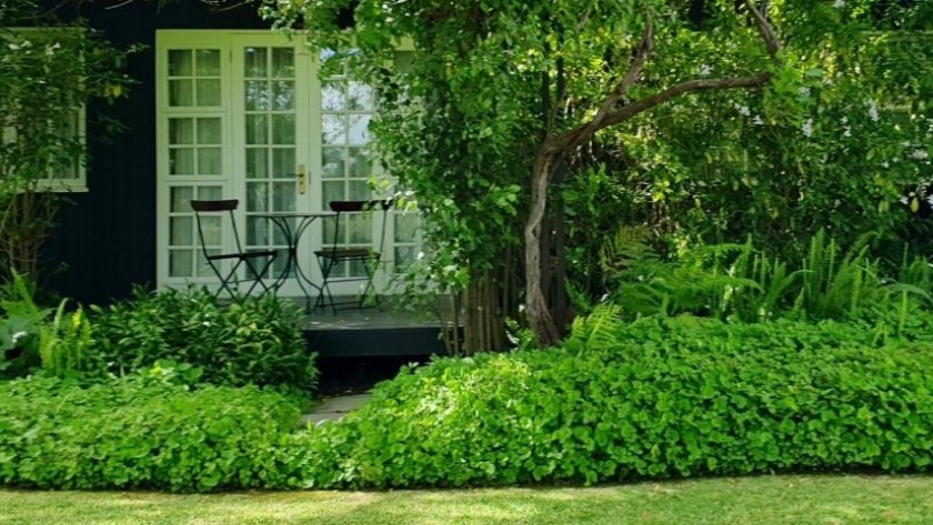 El jardín de ensueño es vida, diseño y paisaje