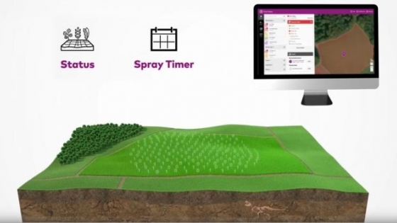 Spray Timer posibilita predecir enfermedades en soja