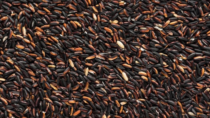 El arroz prohibido ayuda a combatir la obesidad