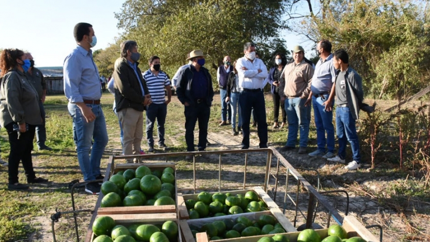 Formosa trabaja con Río Negro para implementar el intercambio de frutas y hortalizas