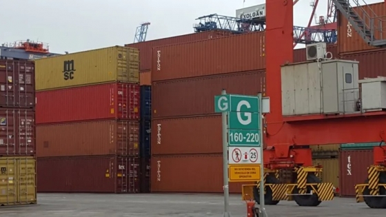 Chile habilita la importación de vísceras y subproductos argentinos: nuevo impulso para la industria cárnica