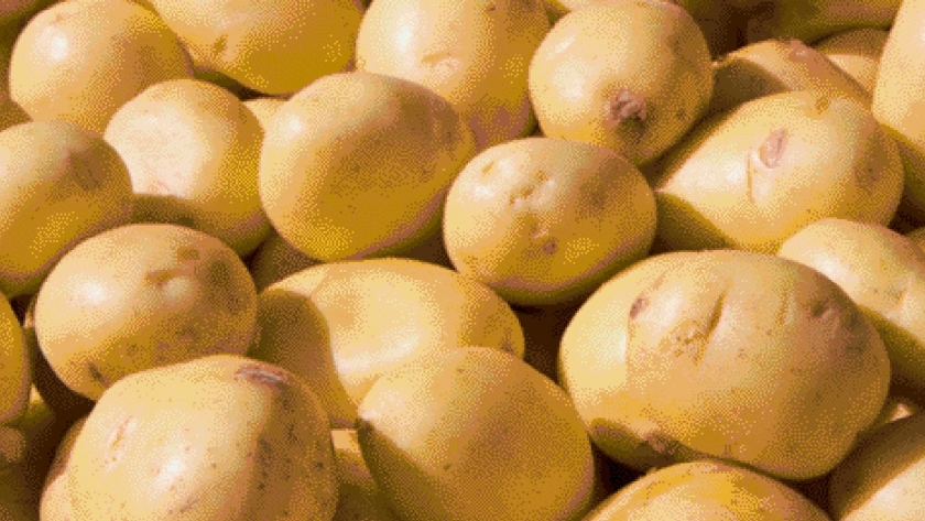 Papas, una herramienta ayuda a controlar plagas y enfermedades