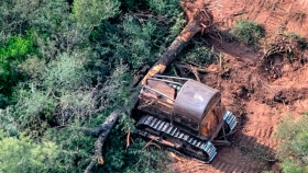Desmontes ilegales: entre 2009 y 2016 se deforestaron 750 mil hectáreas