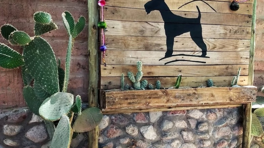 Perro Guardián, la primera bodega registrada como “Bodega Turística” en Catamarca