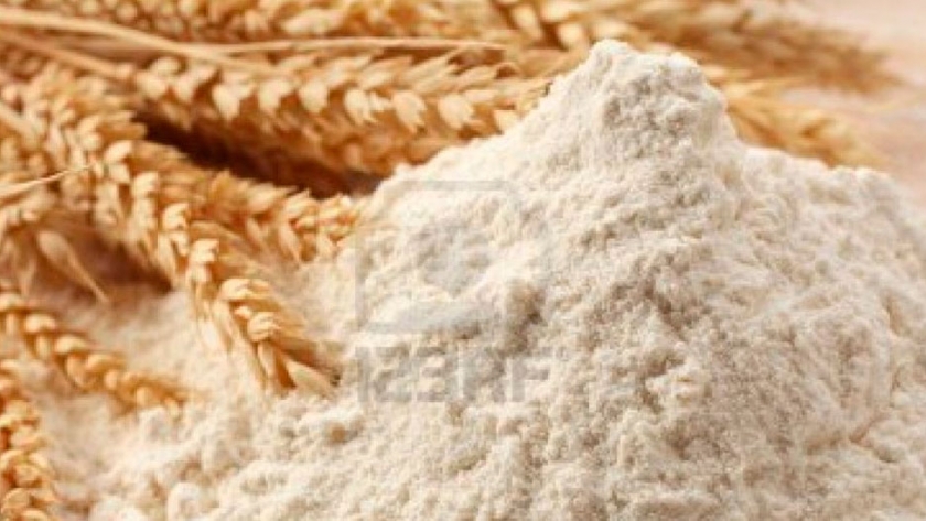 Producción de harina de trigo sin uso de agroquímicos en el módulo Agroecológico Extensivo De La EEA INTA Oliveros, Santa Fe
