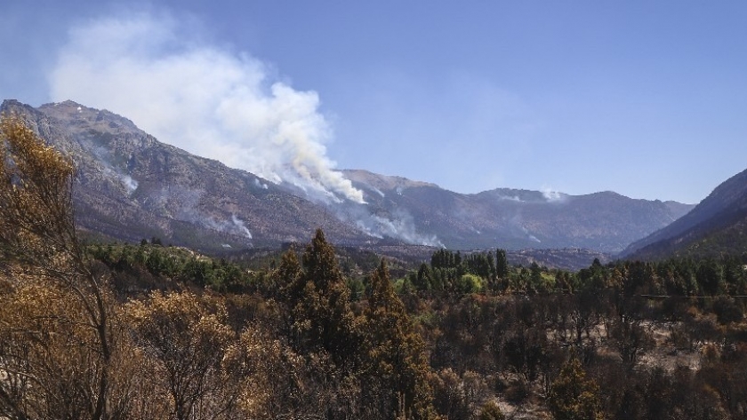 Zona Andina: productores afectados por los incendios podrán gestionar recursos