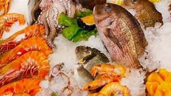 Comienza la Seafood Show Latin America en São Paulo: El gran encuentro para la merluza hubbsi argentina