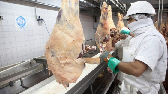 Precio de la carne en el Mercosur: Argentina, más barata que Uruguay y Chile, pero más cara que Brasil y Paraguay