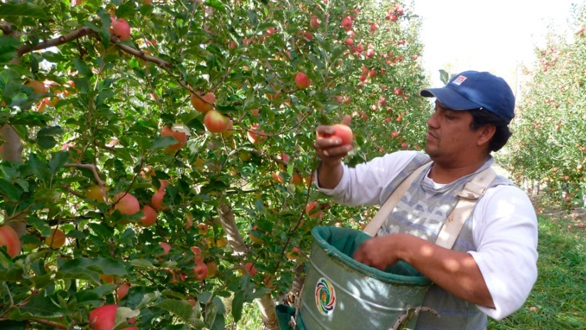 Los desarrollos agrícolas son los &quotunicornios&quot de la economía regional