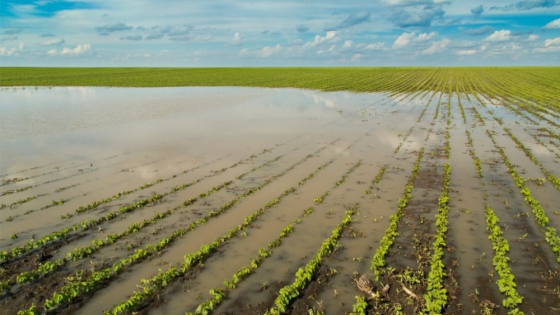 Inundaciones en el centro oeste bonaerense amenazan la siembra y la producción agropecuaria