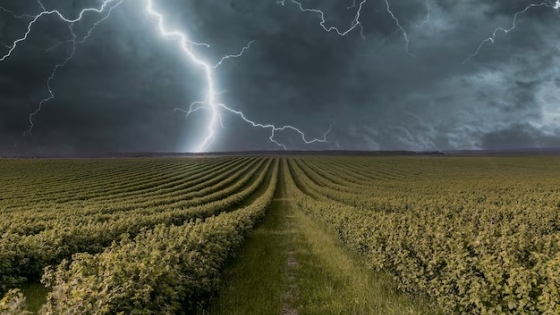 La última semana de enero vendrá con tormentas fuertes y temperaturas elevadas