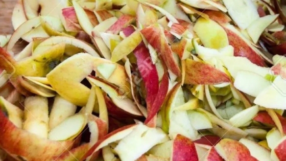 Con descartes de frutas obtienen alimentos saludables