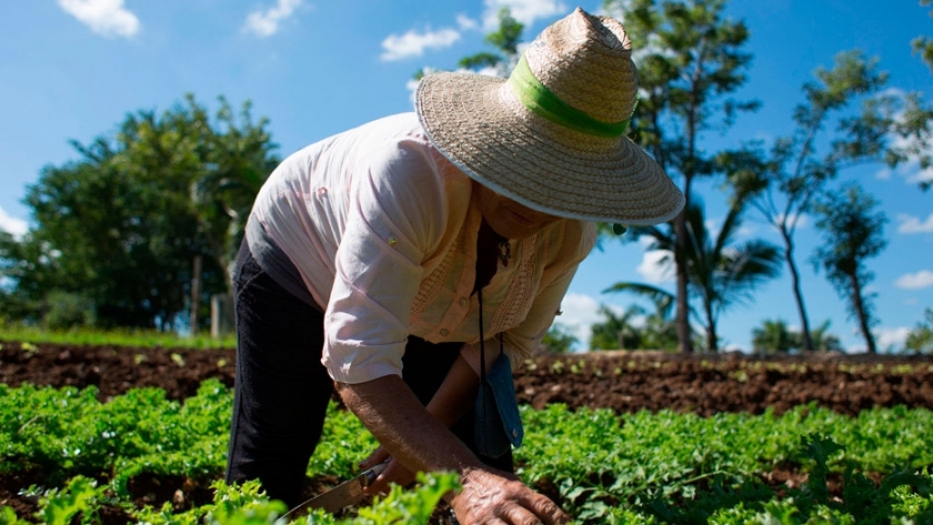 Agroecología: iniciativa con repercusión