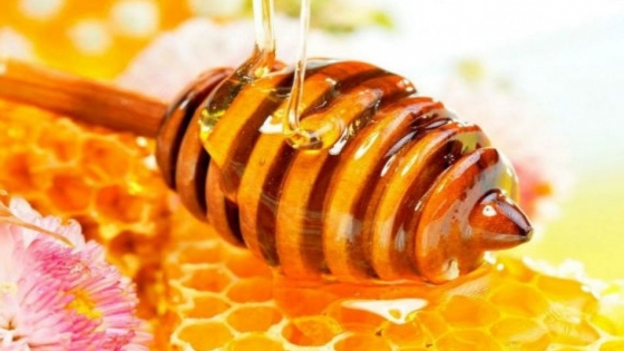 Formosa: fortalecen procedimientos y habilitaciones en salas de extracción de miel