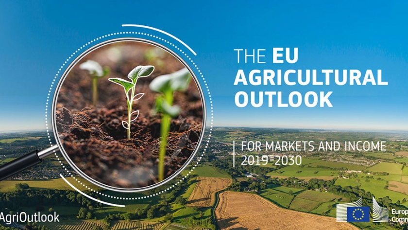 Perspectivas a medio plazo de la UE para la agricultura: 2020 a 2030