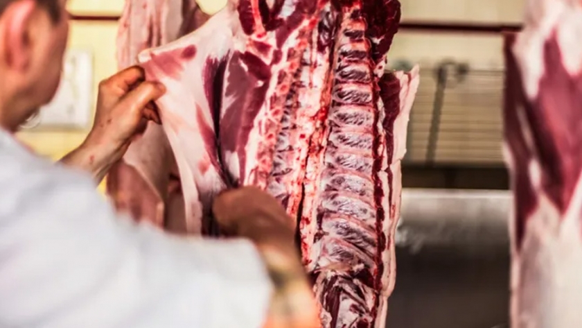 El ministro de agricultura de Alemania insta a los empacadores de carne a trabajar horas extra para despejar la producción acumulada