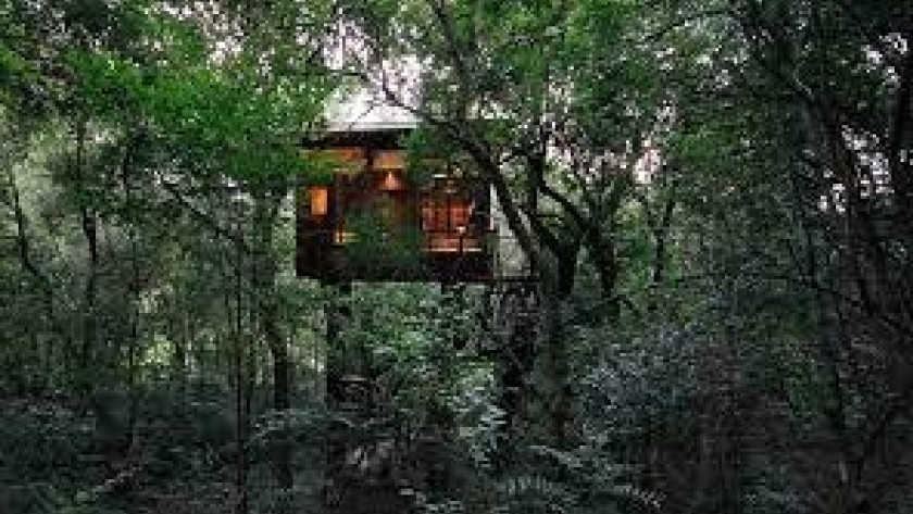 El hotel ecológico con todas las comodidades que queda en medio de la selva de Misiones