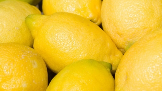 San Miguel inaugura planta de procesamiento de limón en Sudáfrica