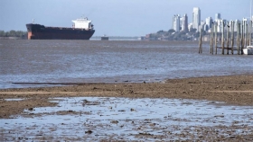 Exportaciones: en los últimos cinco meses, se generaron pérdidas de 280 millones de dólares debido a la bajante del río Paraná