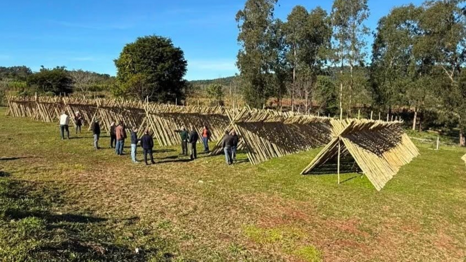 El Litoral sumará su primera planta de biochar de bambú con una inversión de USD 2,5 millones