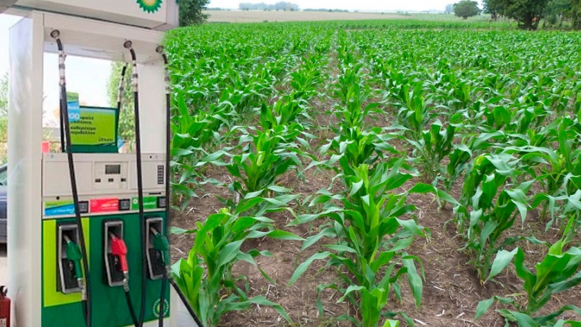 Presentan proyecto de ley de promoción de la producción y consumo de biocombustibles y bioenergía