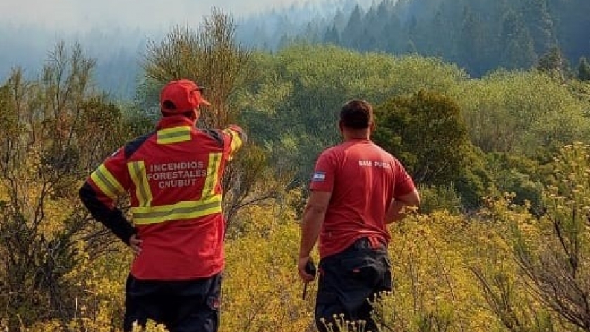 Brigadistas monitorean el incendio que comenzó en Dr. Atilio Viglione tras una quema no autorizada