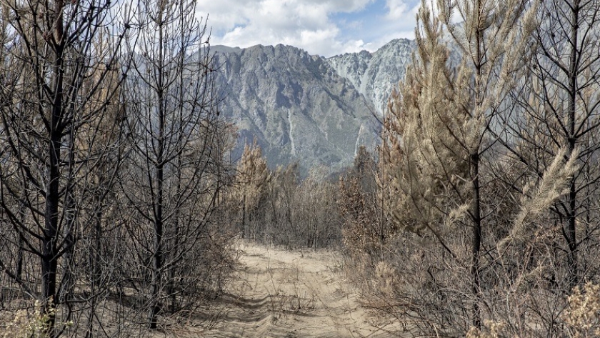 El Bolsón: ¿qué hacer luego de los incendios?
