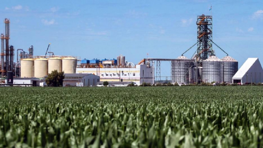 Precios congelados: US$20 millones de pérdida en las empresas de biocombustibles