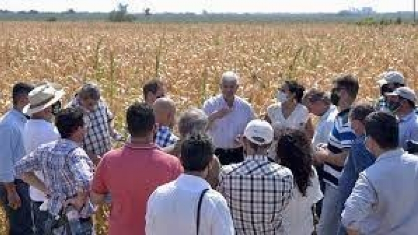 Julián Domínguez recorrió las regiones afectadas por la sequía en la Zona Núcleo y afirmó: 