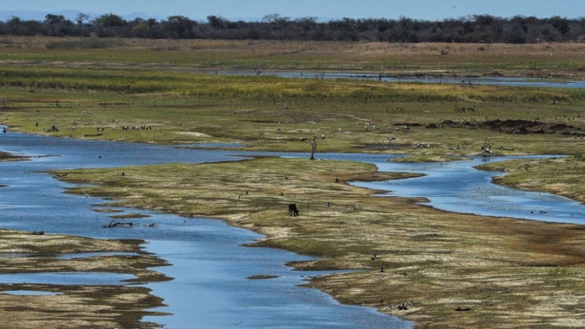 Proyecto inédito busca rescatar las regiones más secas de América Latina
