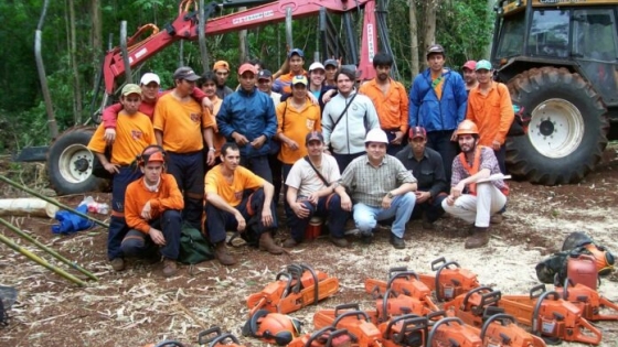 El trabajo en el sector forestal argentino es modelo global por sus prácticas en seguridad laboral, según la OIT