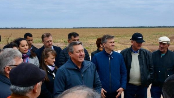 Planta de alfalfa en Charata avanza en evaluación