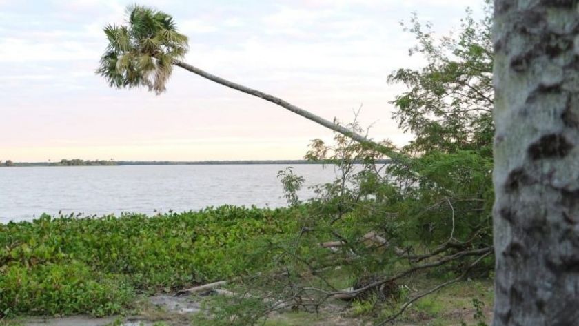 Chaco sostenible: el Gobierno celebra la aprobación unánime de la transferencia para el Parque Nacional Laguna el Palmar