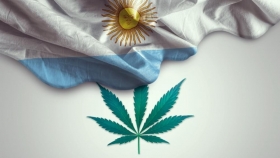 El campo argentino quiere sumarse a la ola verde del cannabis