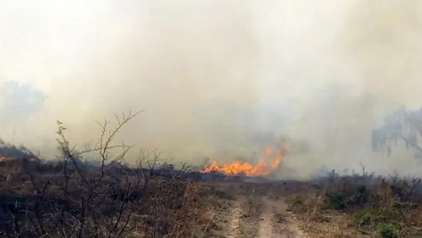 Vuelve el fuego a ser noticia